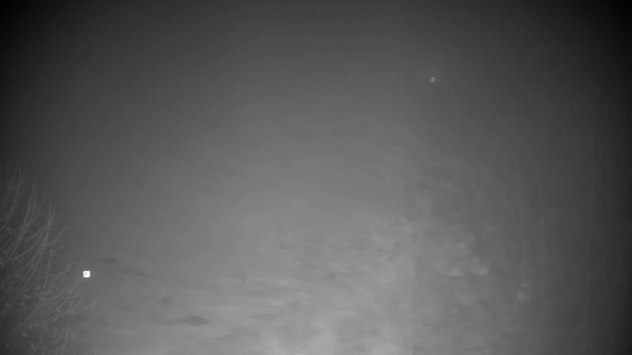 Webcam Ribnik Vrbje – Žalec