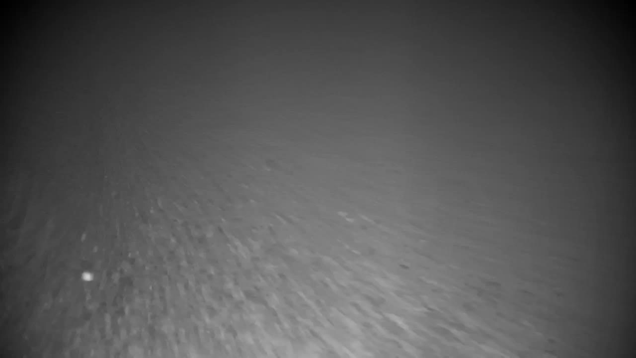 Webcam Ribnik Vrbje – Žalec