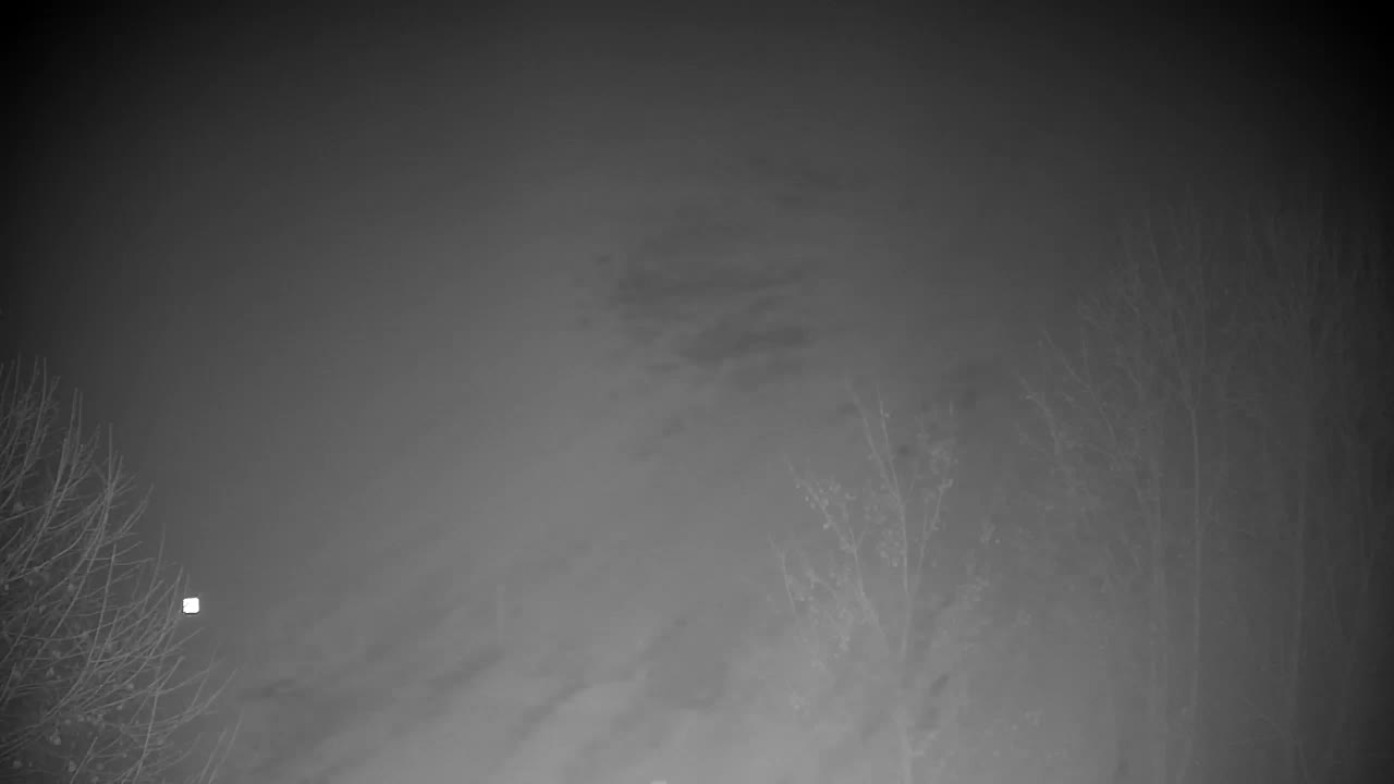 Web kamera Ribnik Vrbje – Žalec