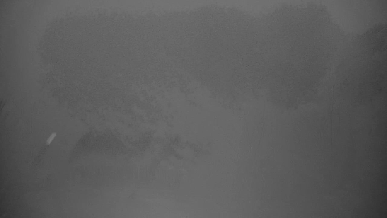 Webcam Ribnik Vrbje – Žalec