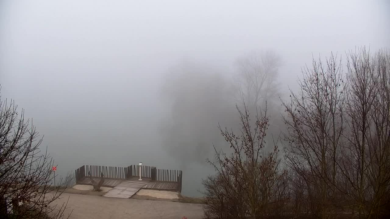 Webcam Ribnik Vrbje – Žalec