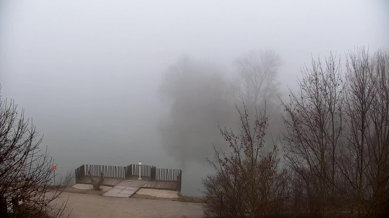 Webcam Ribnik Vrbje – Žalec