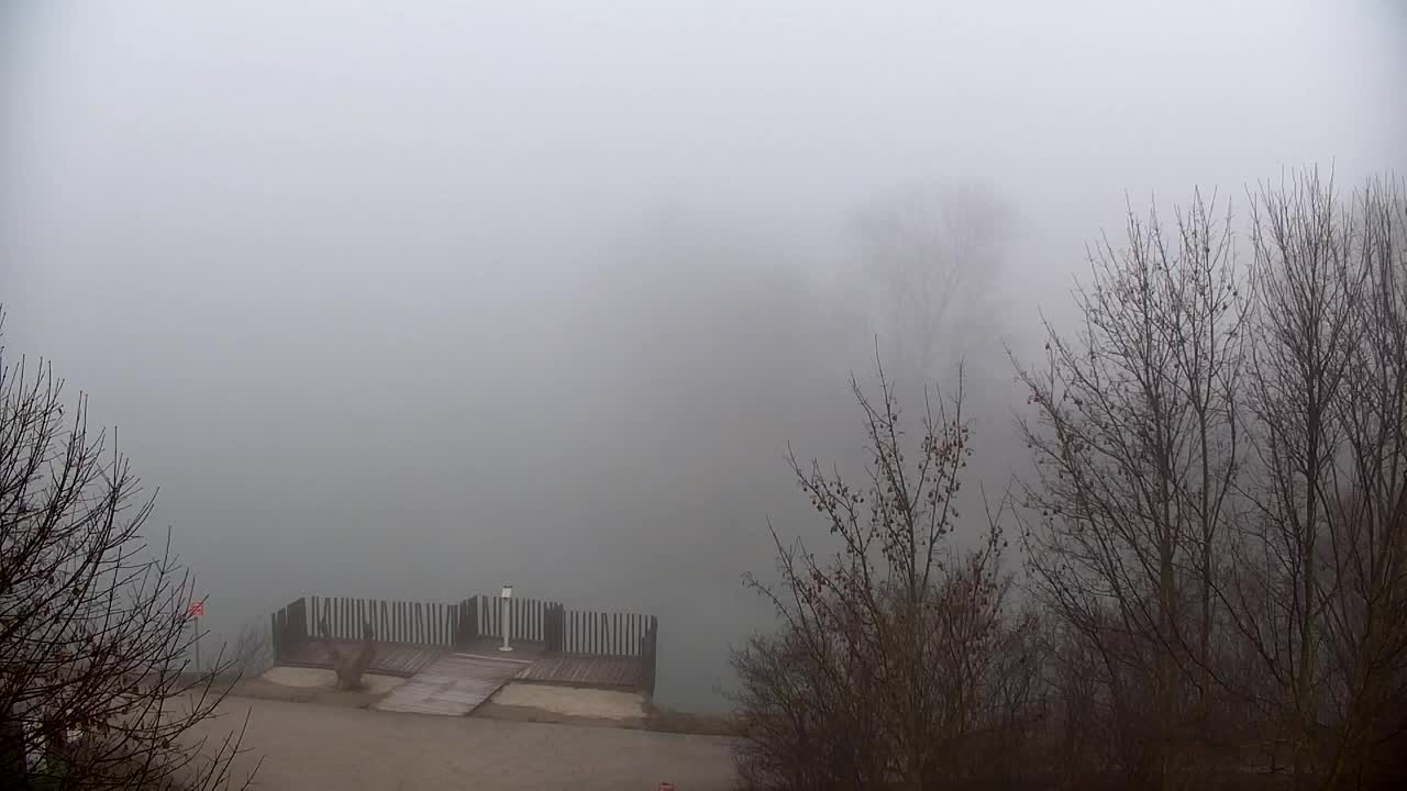 Webcam Ribnik Vrbje – Žalec