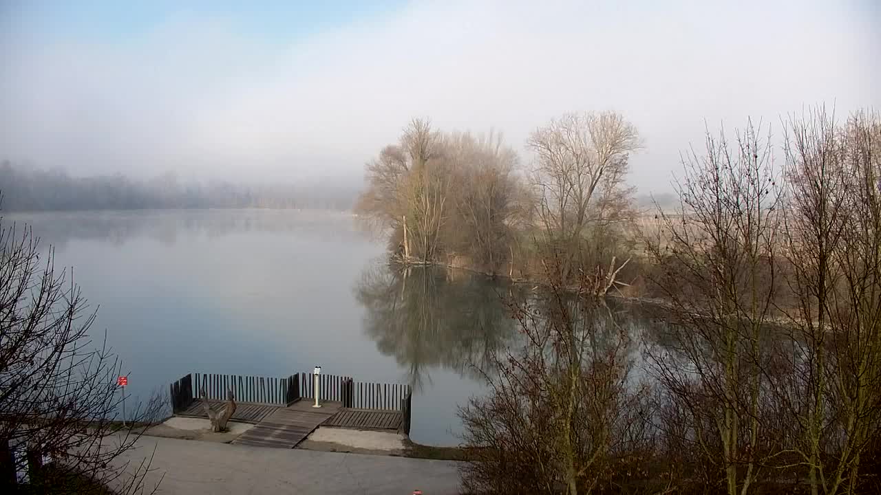 Webcam Ribnik Vrbje – Žalec