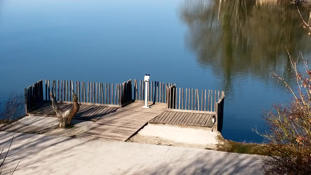 Webcam Ribnik Vrbje – Žalec