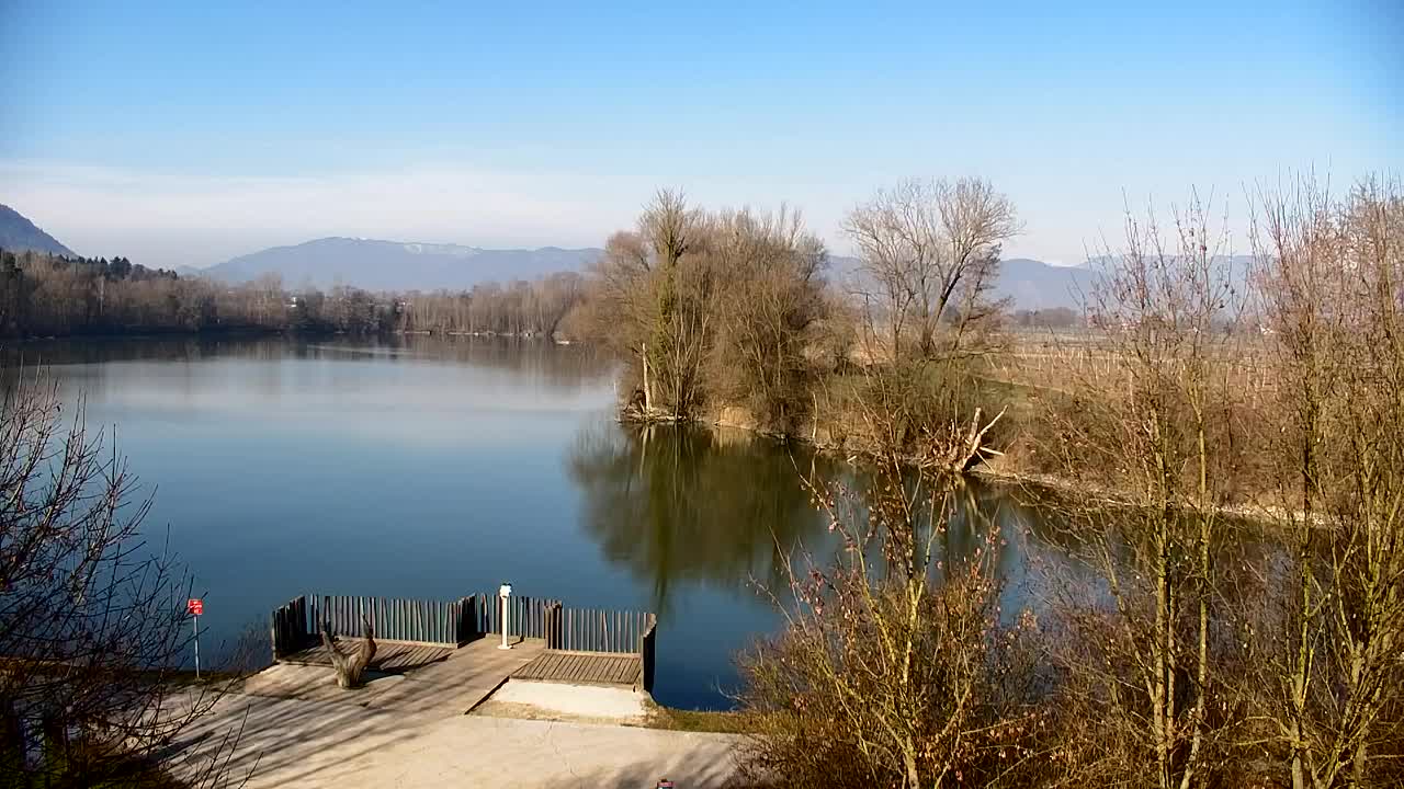 Webcam Ribnik Vrbje – Žalec