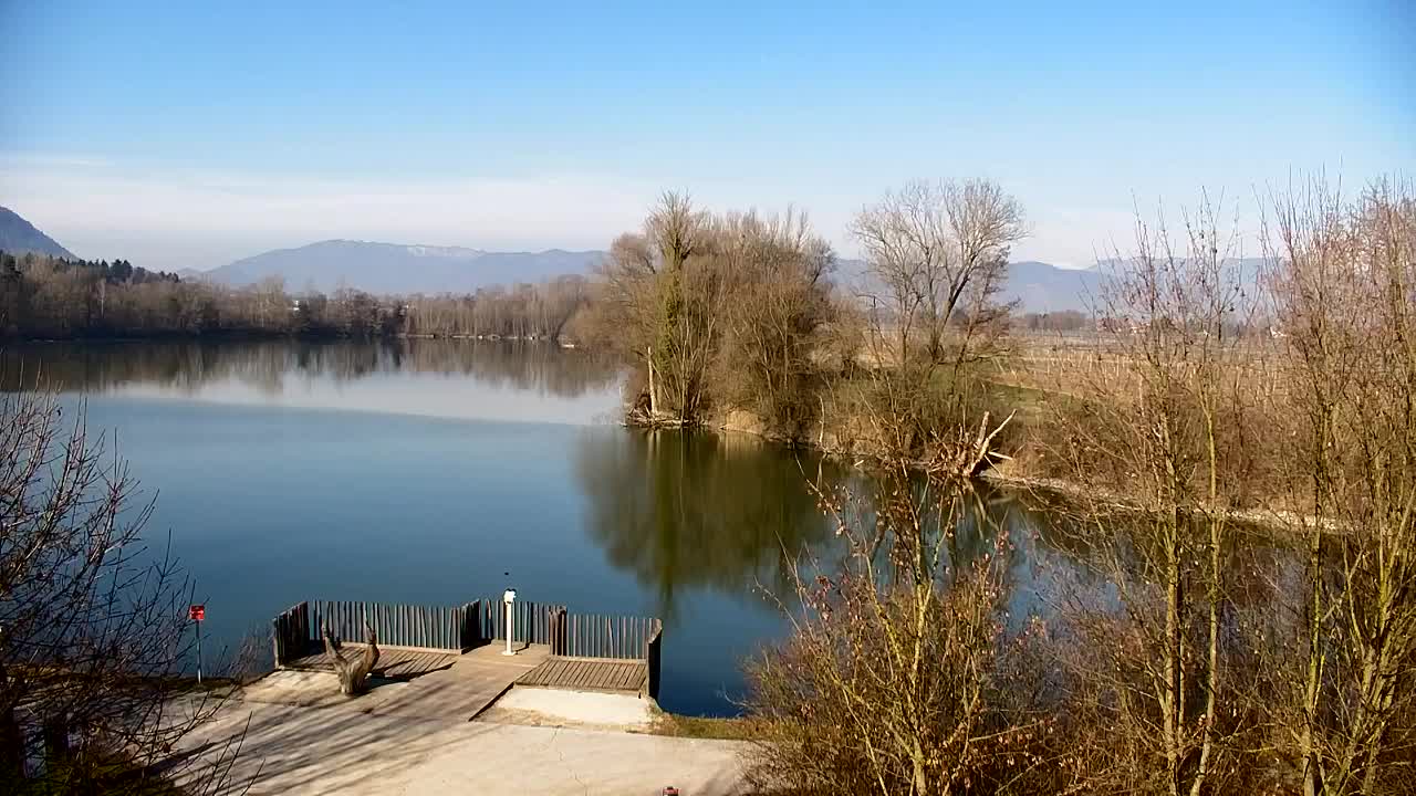 Spletna kamera Ribnik Vrbje – Žalec