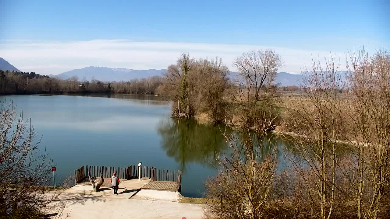 Webcam Ribnik Vrbje – Žalec