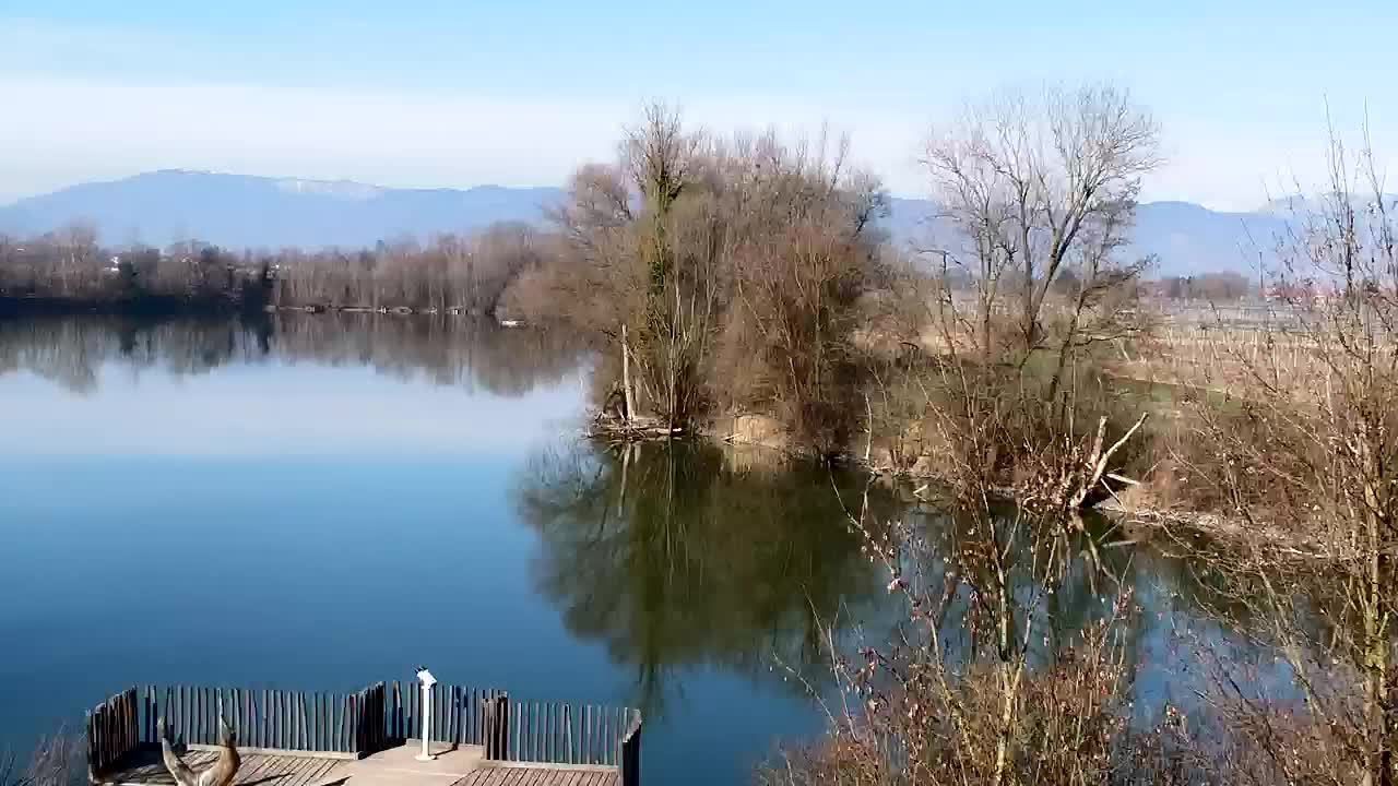 Webcam Ribnik Vrbje – Žalec