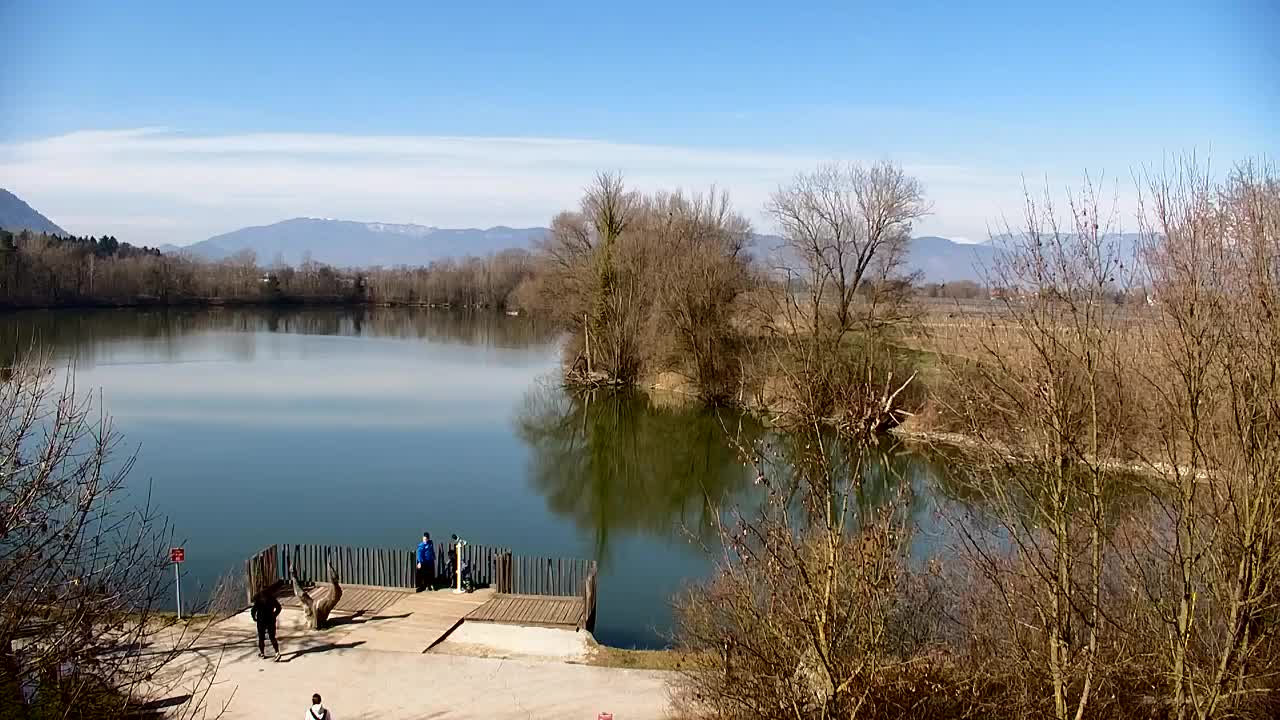 Spletna kamera Ribnik Vrbje – Žalec