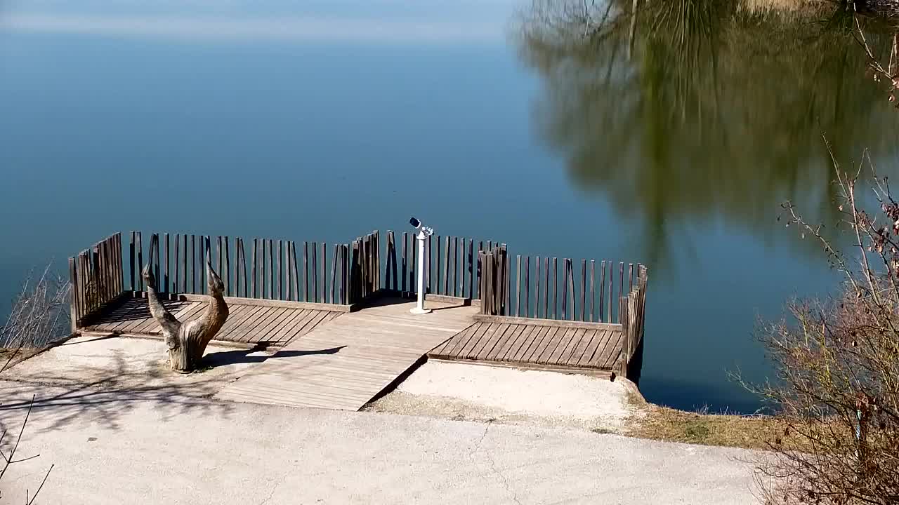 Web kamera Ribnik Vrbje – Žalec