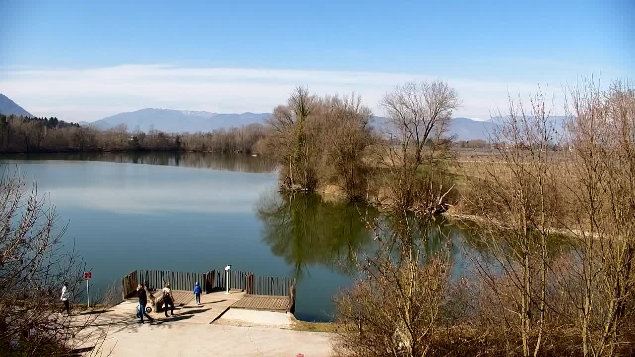 Webcam Ribnik Vrbje – Žalec