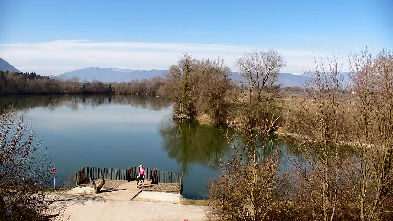 Webcam Ribnik Vrbje – Žalec