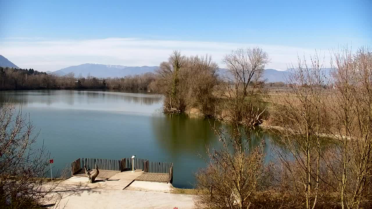 Webcam Ribnik Vrbje – Žalec