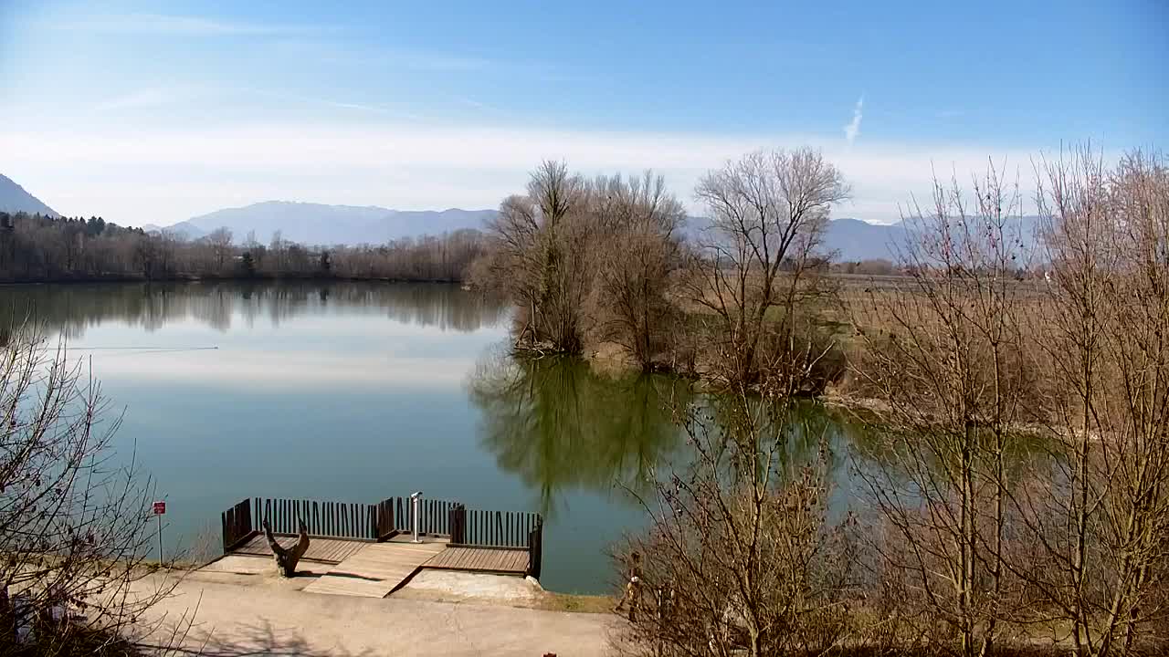 Spletna kamera Ribnik Vrbje – Žalec