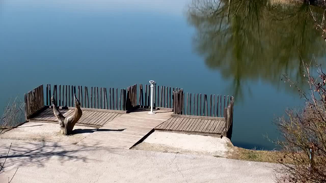 Webcam Ribnik Vrbje – Žalec