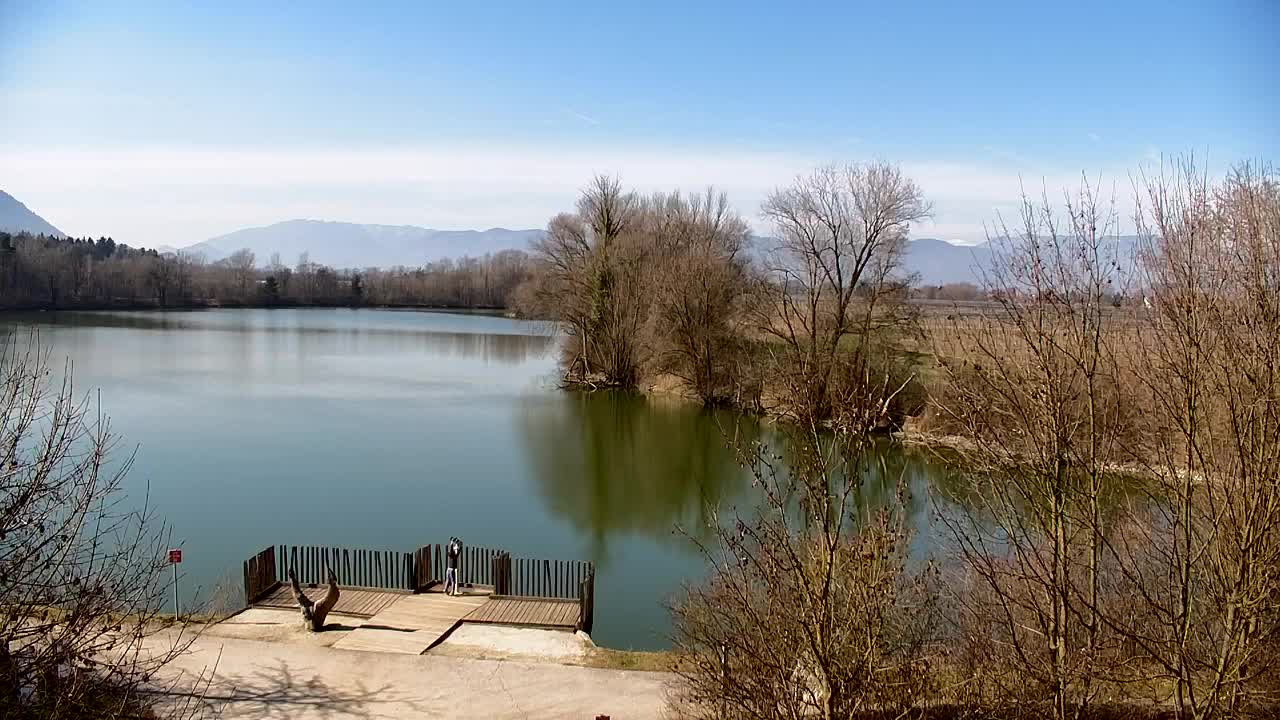 Spletna kamera Ribnik Vrbje – Žalec