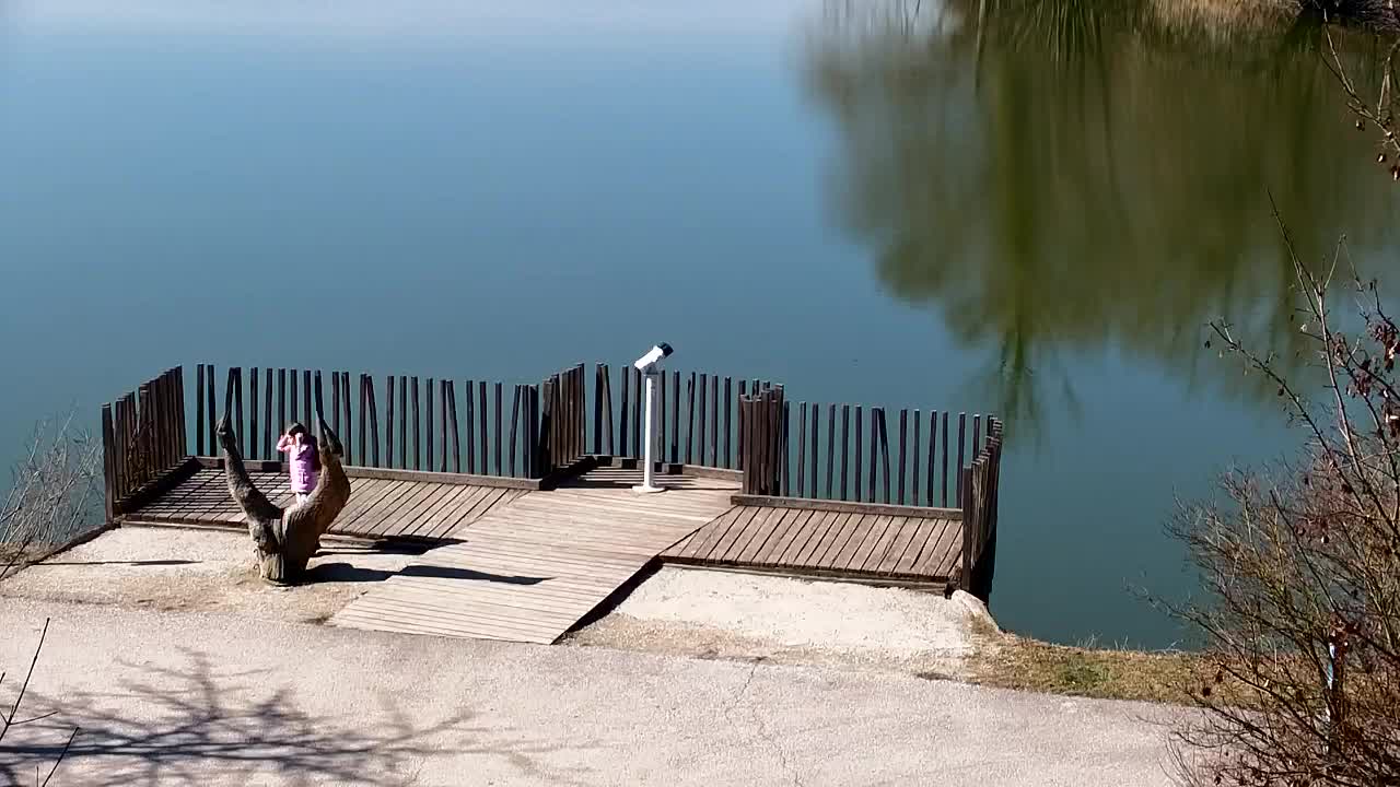 Spletna kamera Ribnik Vrbje – Žalec