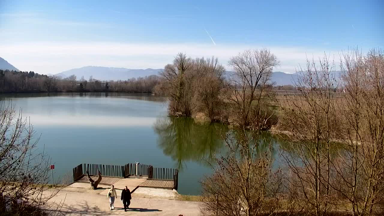 Webcam Ribnik Vrbje – Žalec