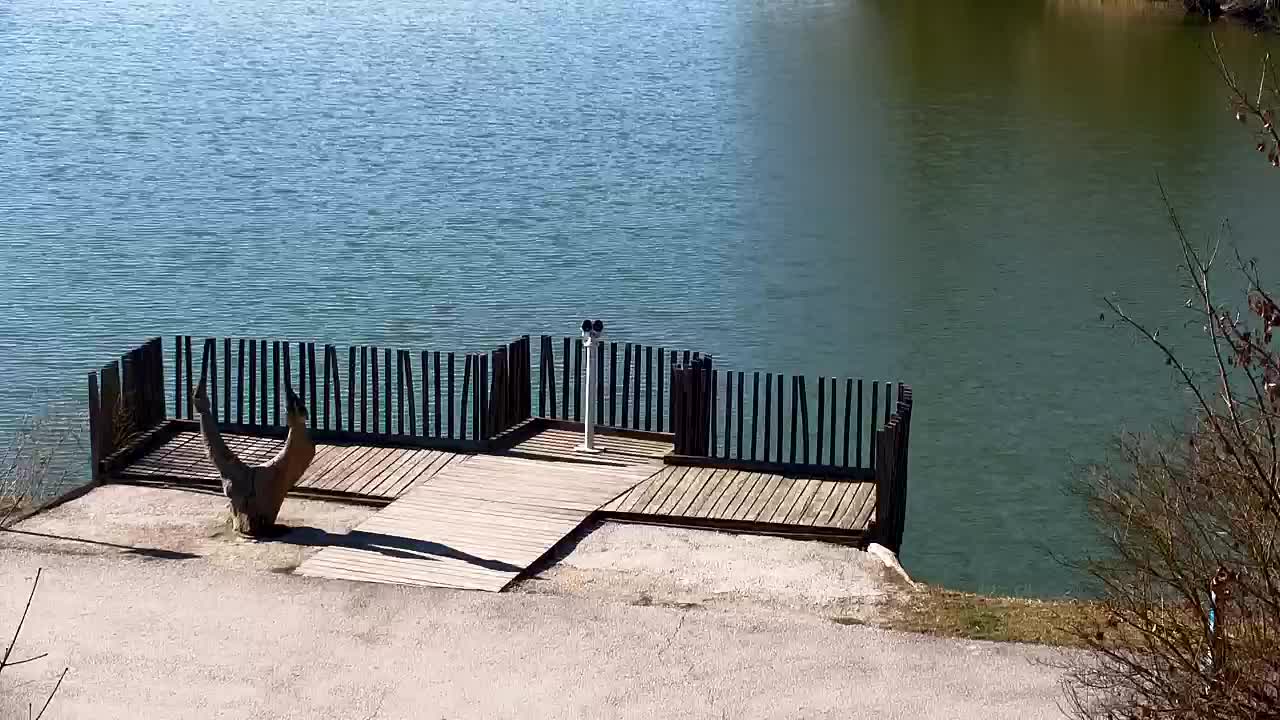 Webcam Ribnik Vrbje – Žalec