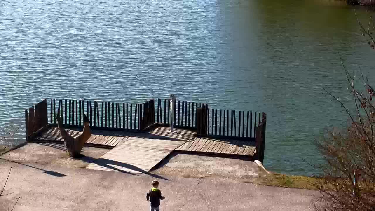 Webcam Ribnik Vrbje – Žalec