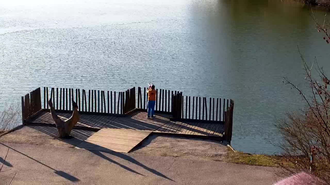 Webcam Ribnik Vrbje – Žalec