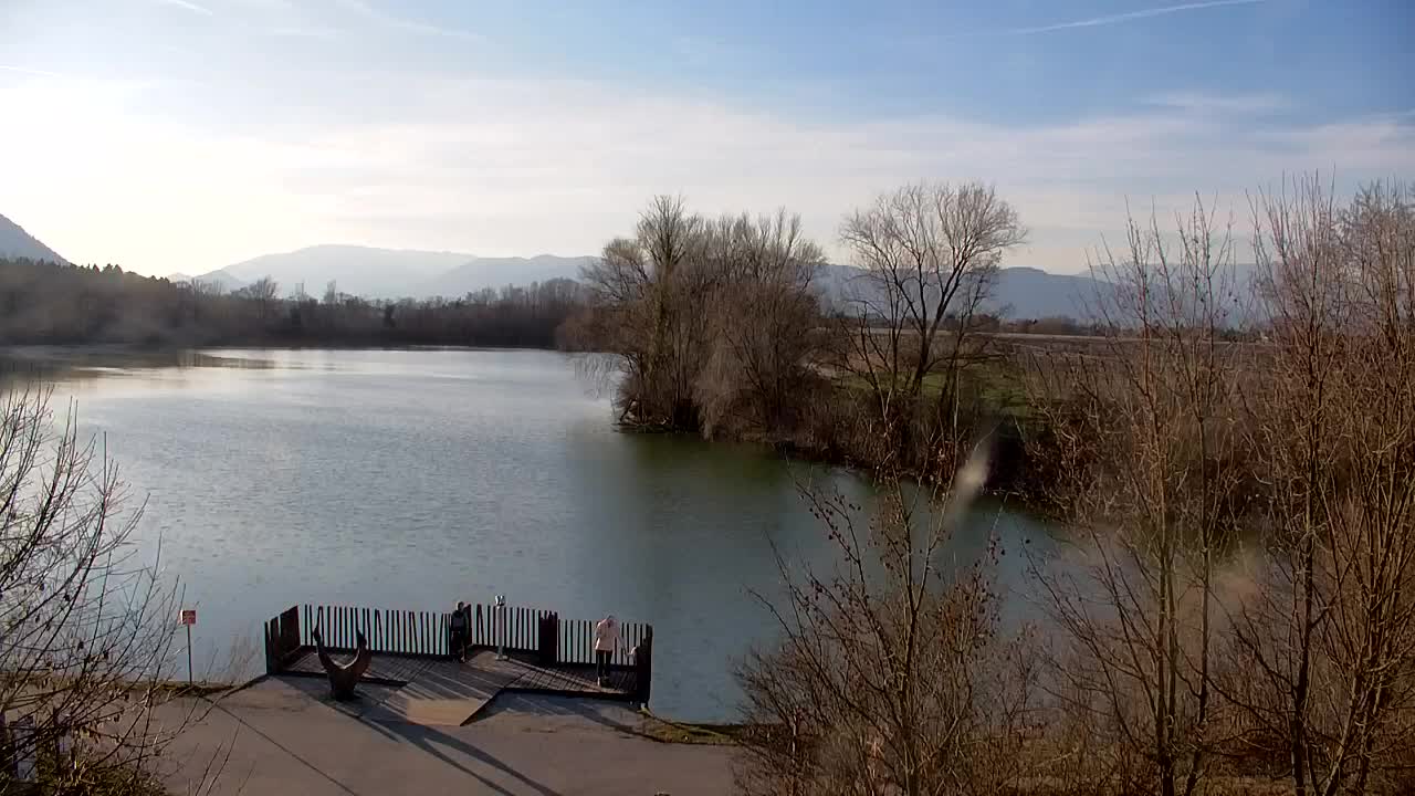 Spletna kamera Ribnik Vrbje – Žalec