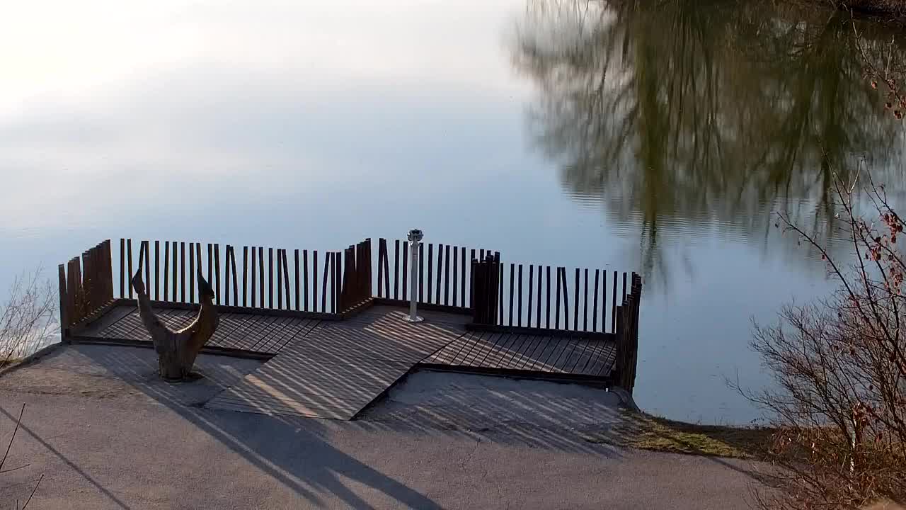 Spletna kamera Ribnik Vrbje – Žalec