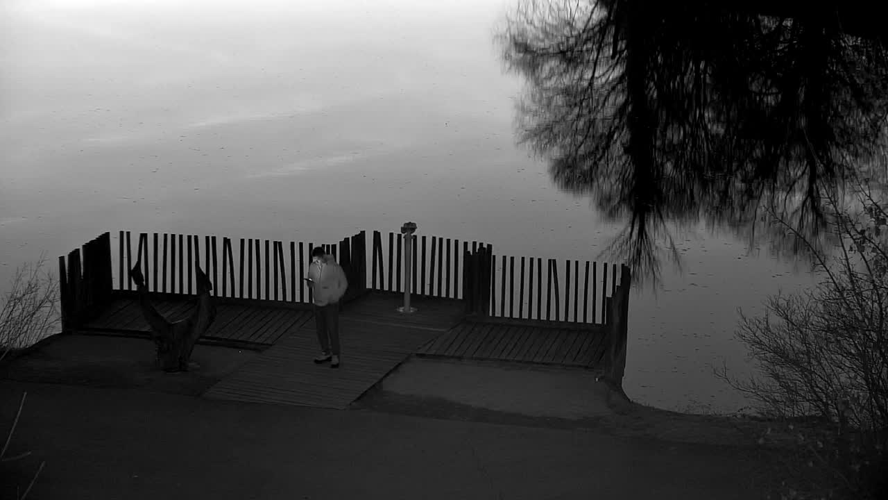 Webcam Ribnik Vrbje – Žalec