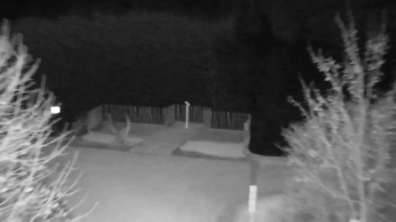 Webcam Ribnik Vrbje – Žalec