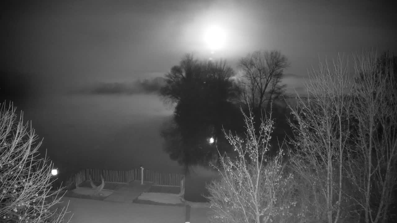 Webcam Ribnik Vrbje – Žalec