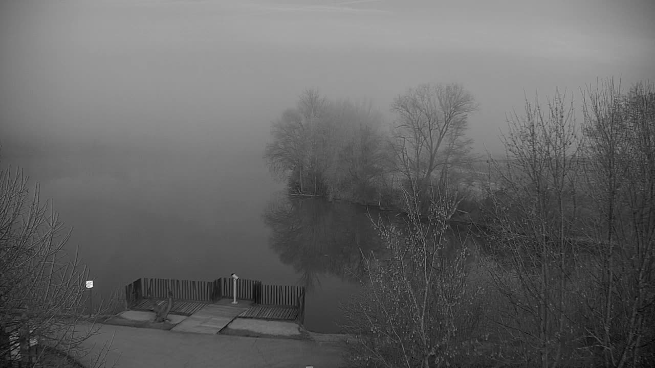 Webcam Ribnik Vrbje – Žalec