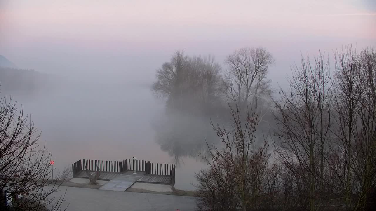 Webcam Ribnik Vrbje – Žalec