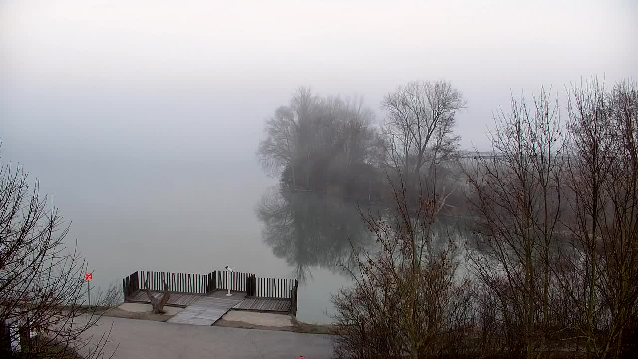 Webcam Ribnik Vrbje – Žalec