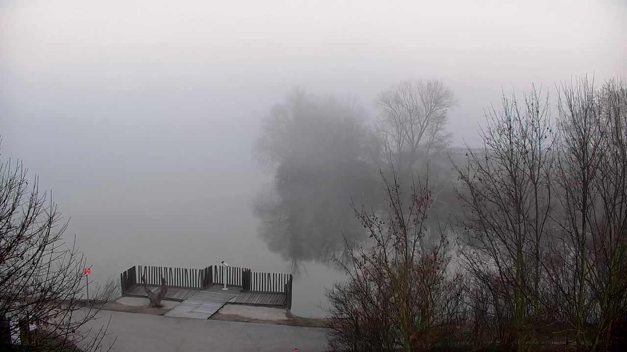 Web kamera Ribnik Vrbje – Žalec