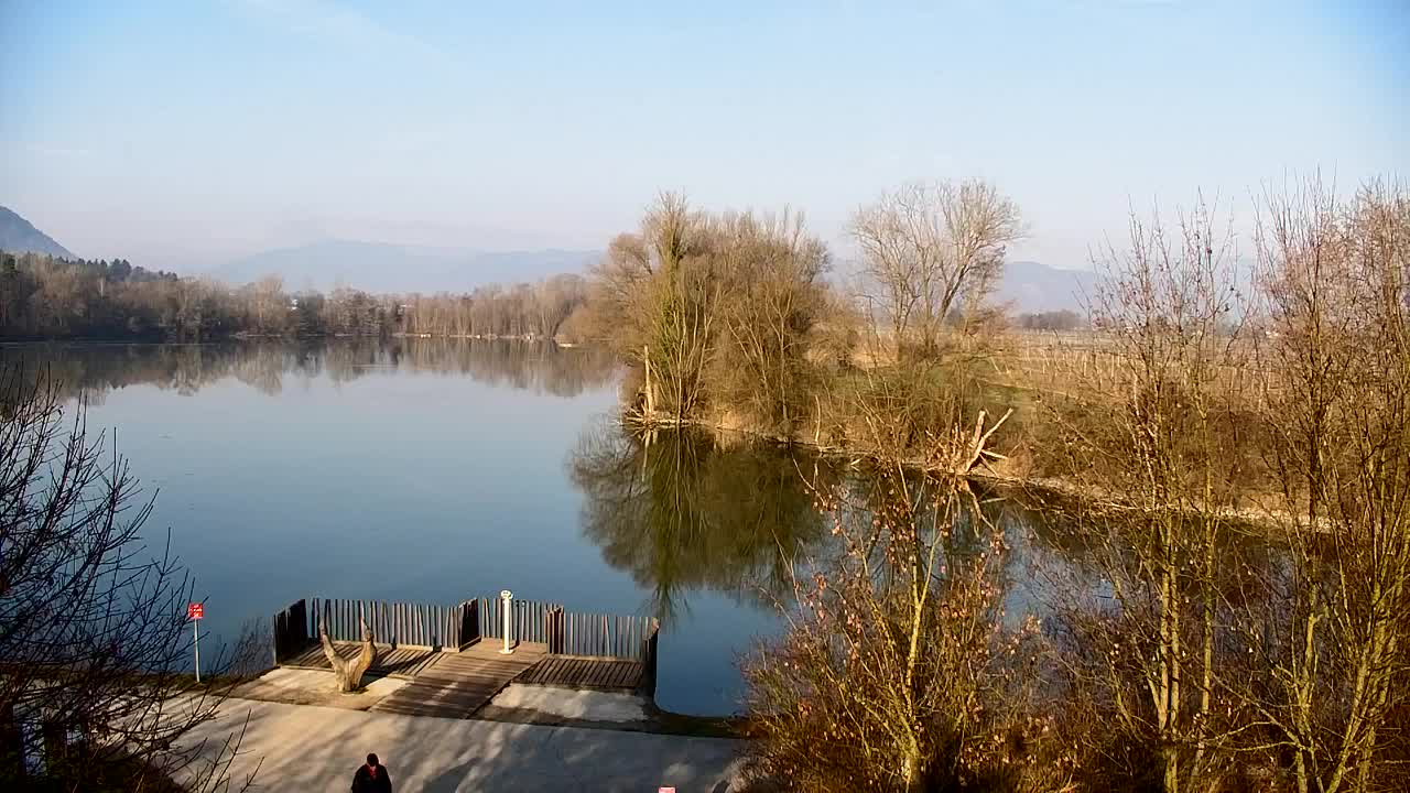 Webcam Ribnik Vrbje – Žalec