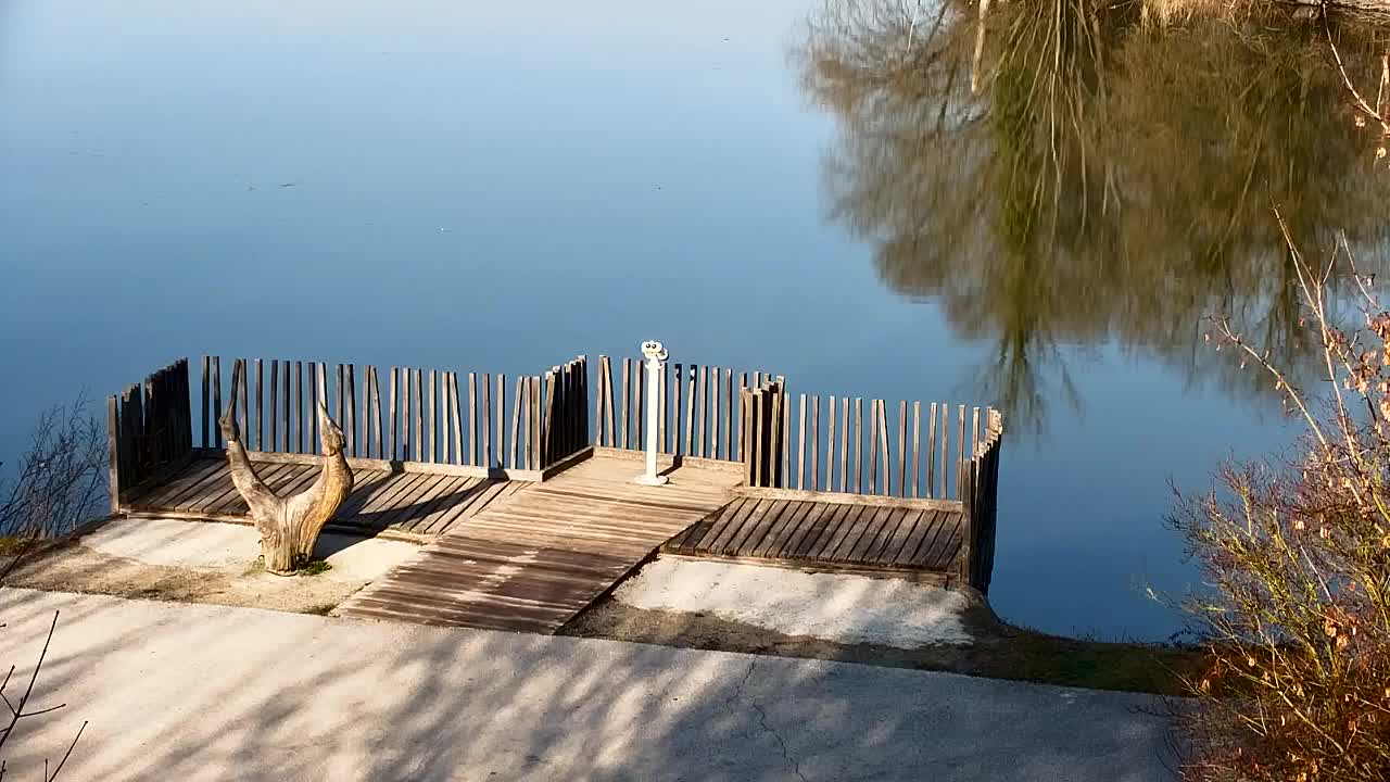 Webcam Ribnik Vrbje – Žalec