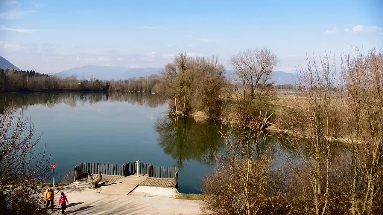 Webcam Ribnik Vrbje – Žalec