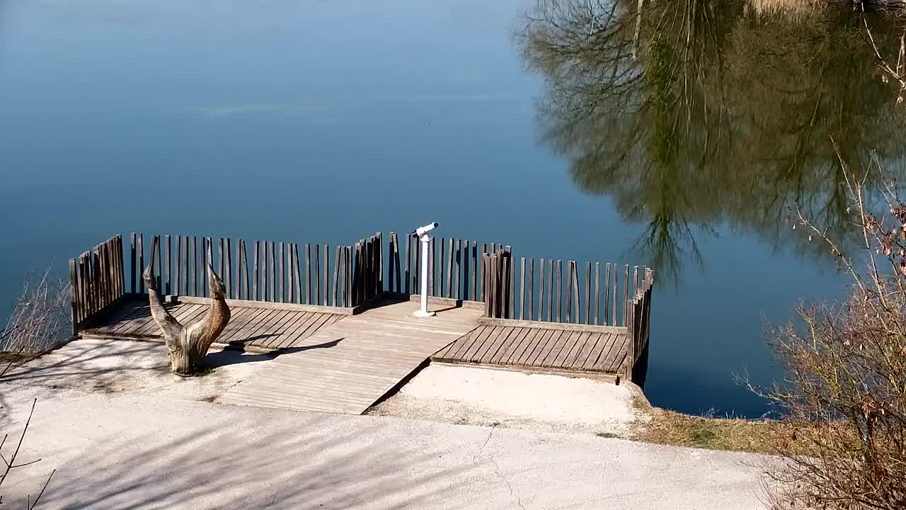 Webcam Ribnik Vrbje – Žalec