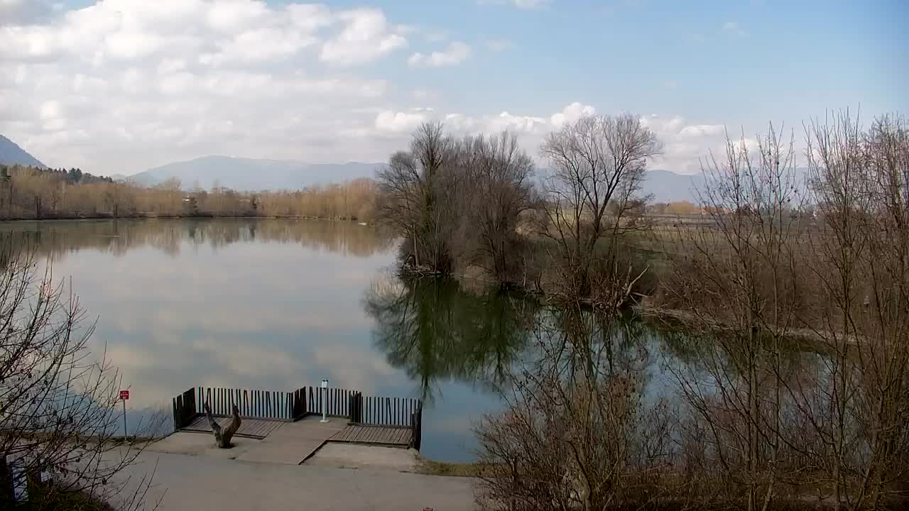 Webcam Ribnik Vrbje – Žalec