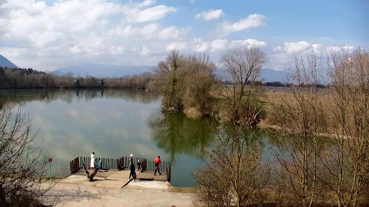 Spletna kamera Ribnik Vrbje – Žalec