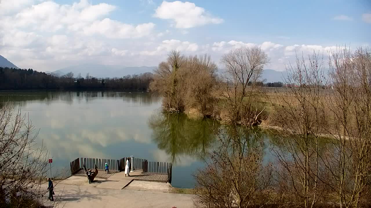 Webcam Ribnik Vrbje – Žalec