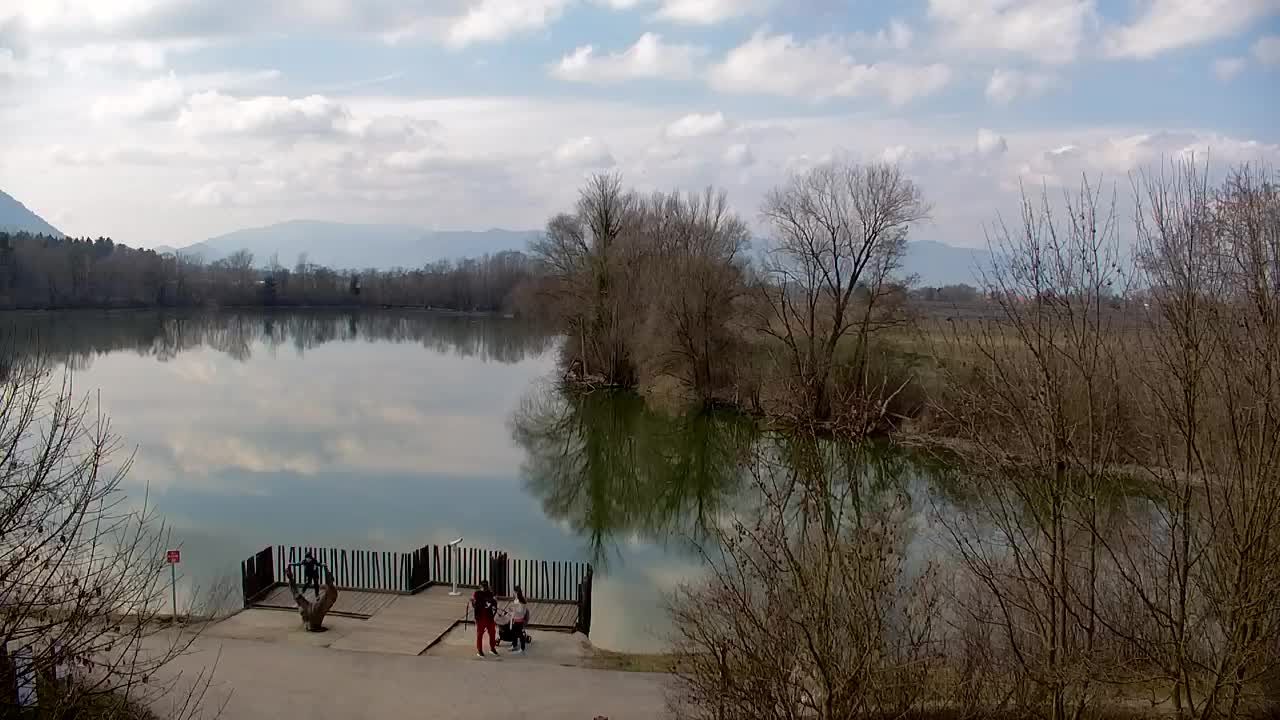 Webcam Ribnik Vrbje – Žalec