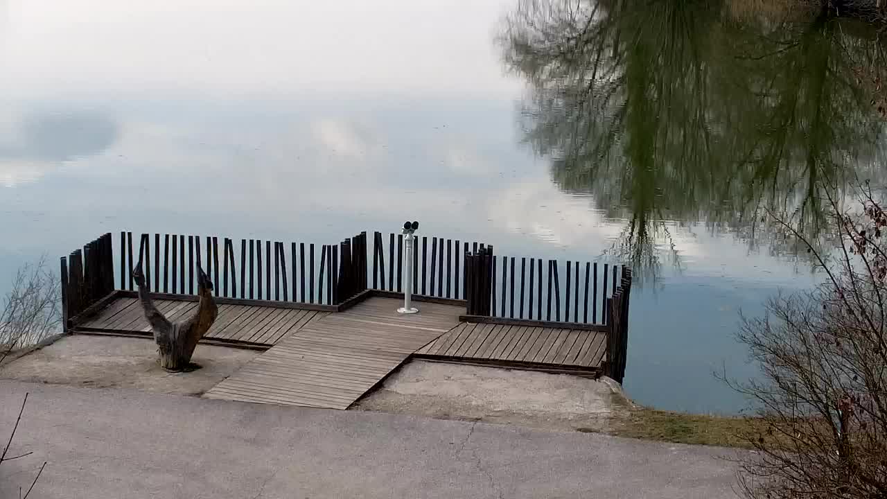 Webcam Ribnik Vrbje – Žalec