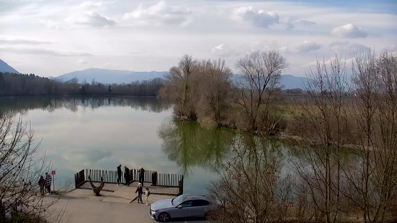 Webcam Ribnik Vrbje – Žalec