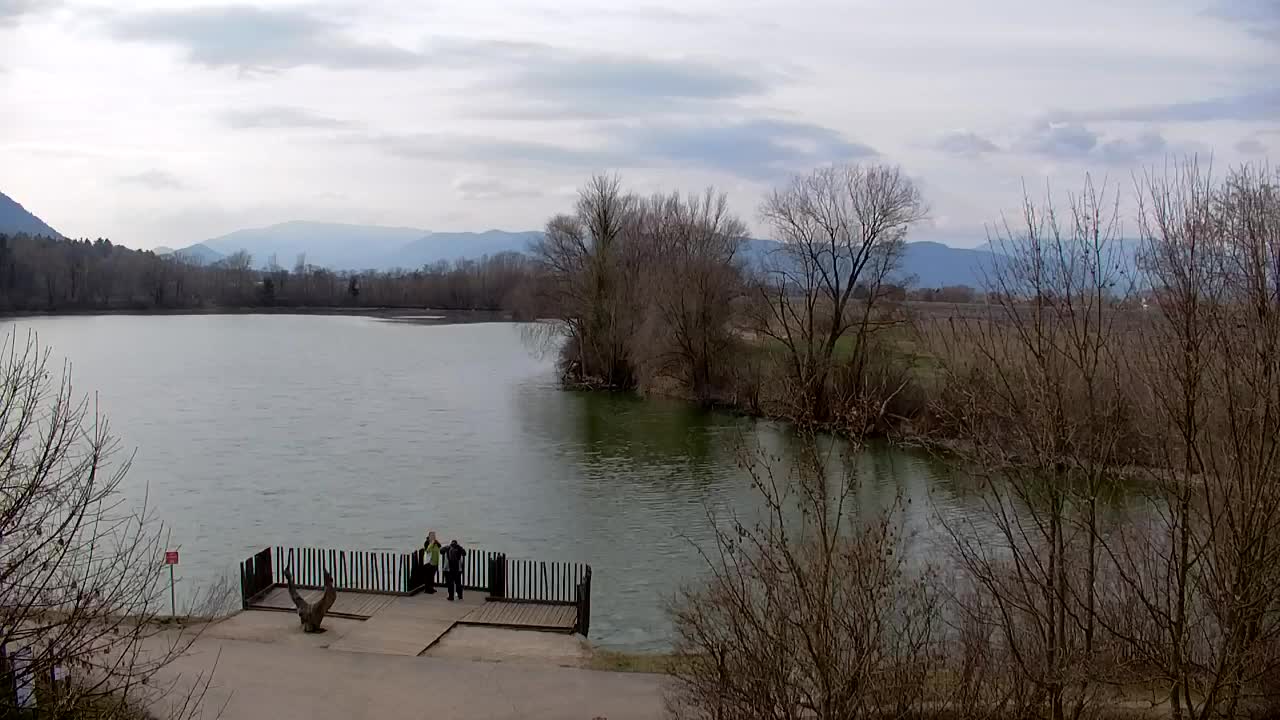 Webcam Ribnik Vrbje – Žalec