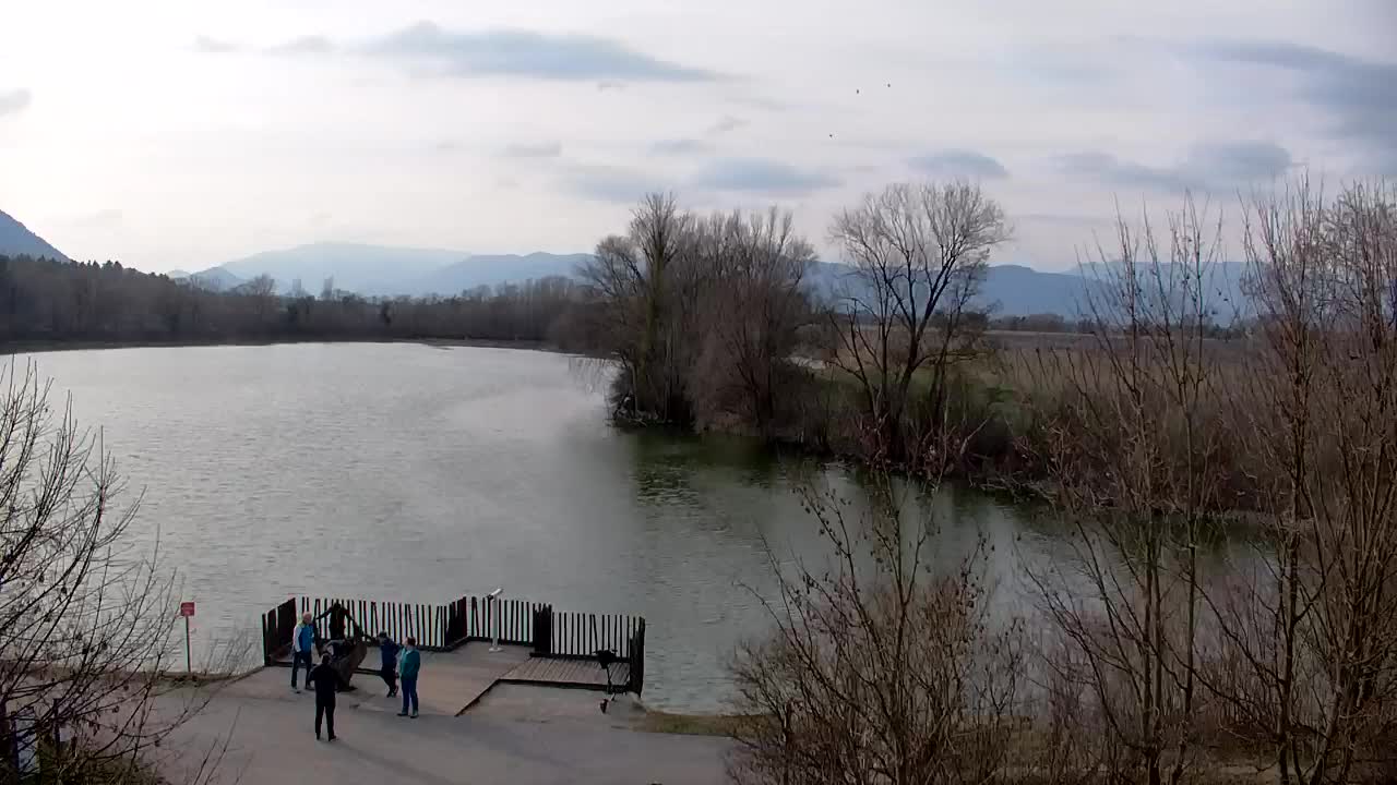 Webcam Ribnik Vrbje – Žalec