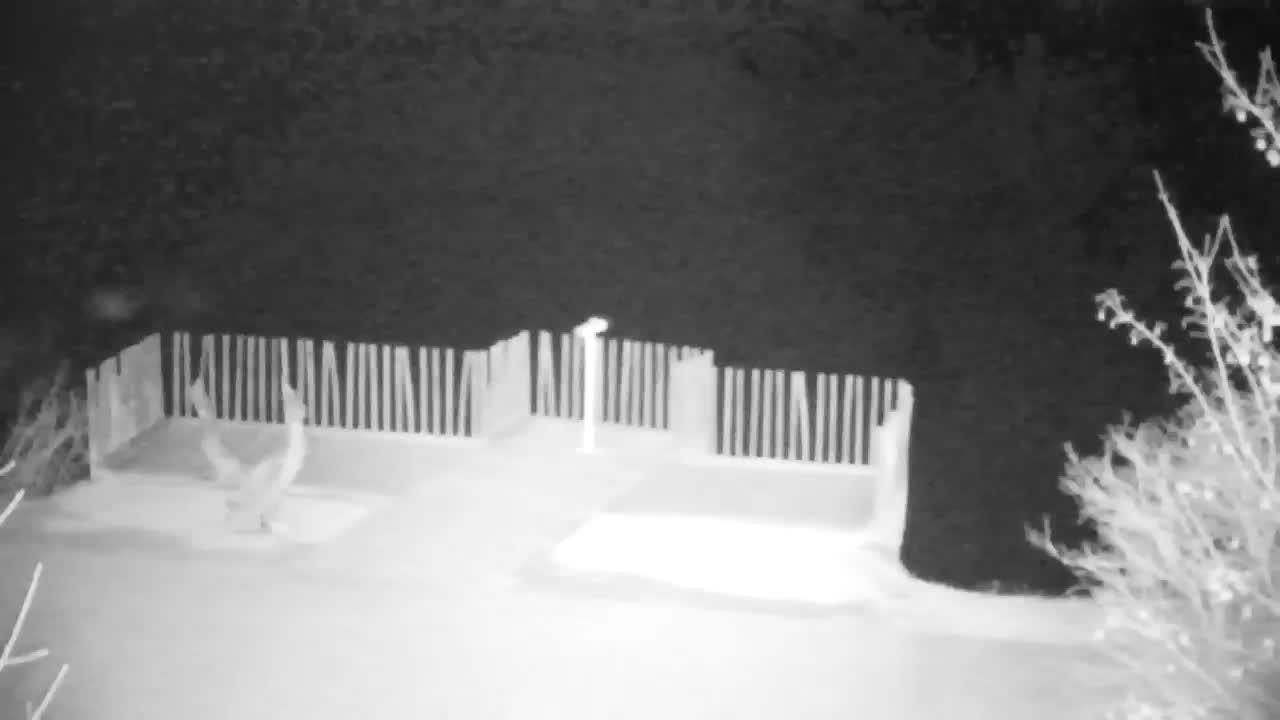 Web kamera Ribnik Vrbje – Žalec