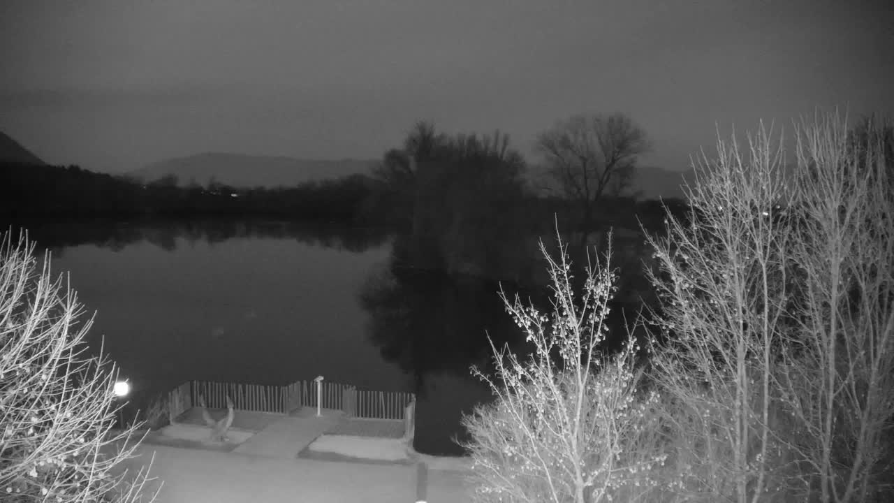 Web kamera Ribnik Vrbje – Žalec