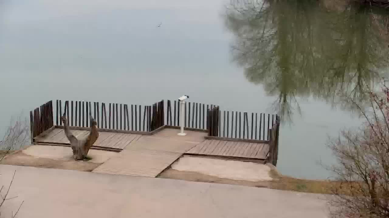 Webcam Ribnik Vrbje – Žalec